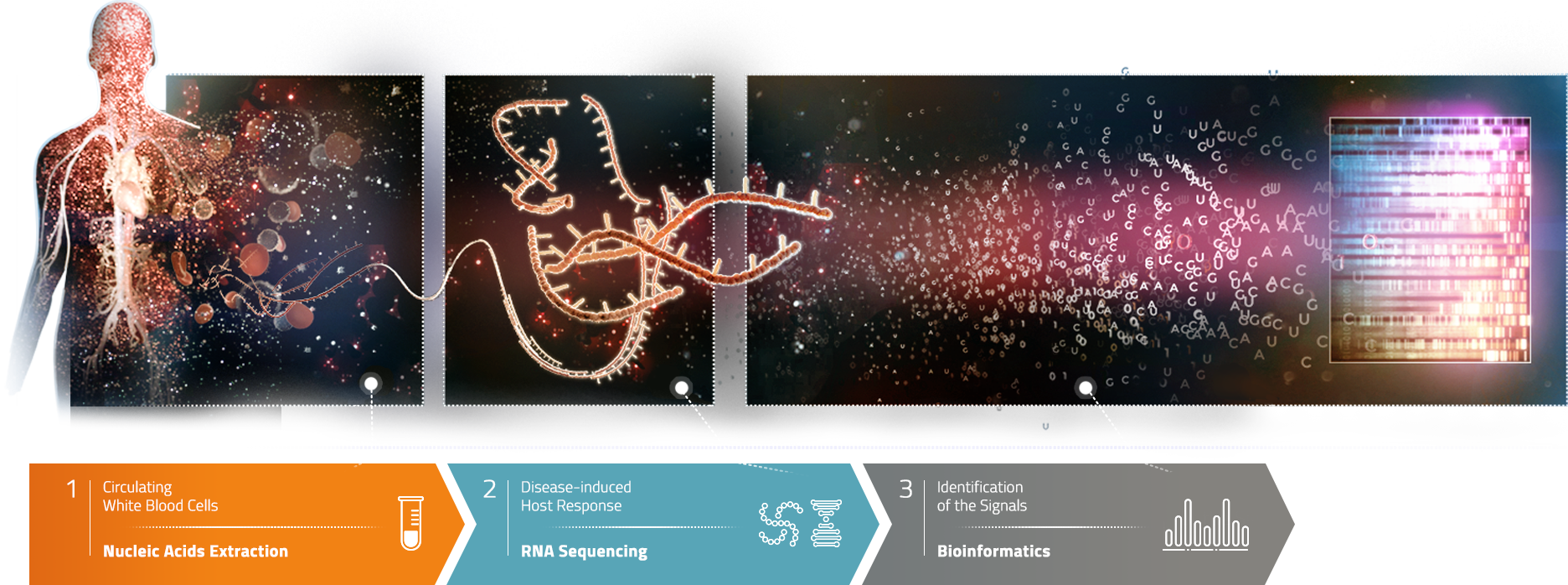 graphe-sujet-1-01 Immuno-Transcriptomics